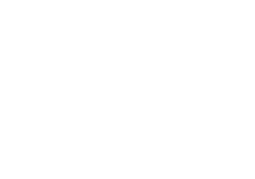 Tecnología y Servicios de Información
